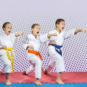 Martial Arts as a Tool for Physical and Social Development
