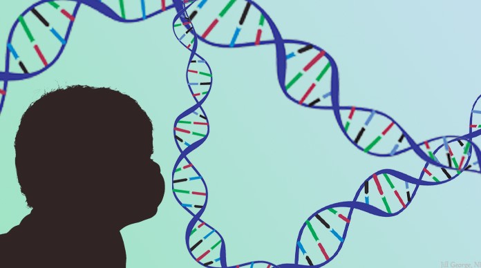 Genetic Factors significantly influence Autism